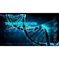 Transmutations