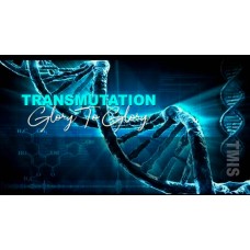 Transmutations